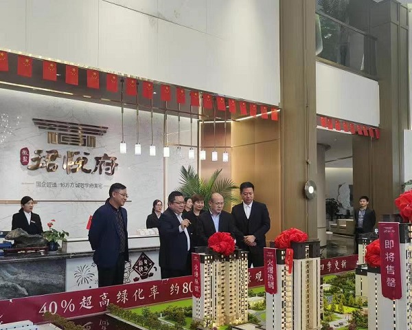 王晟率相关部门赴徽盐地产集团灵璧项目公司开展条线化服务
